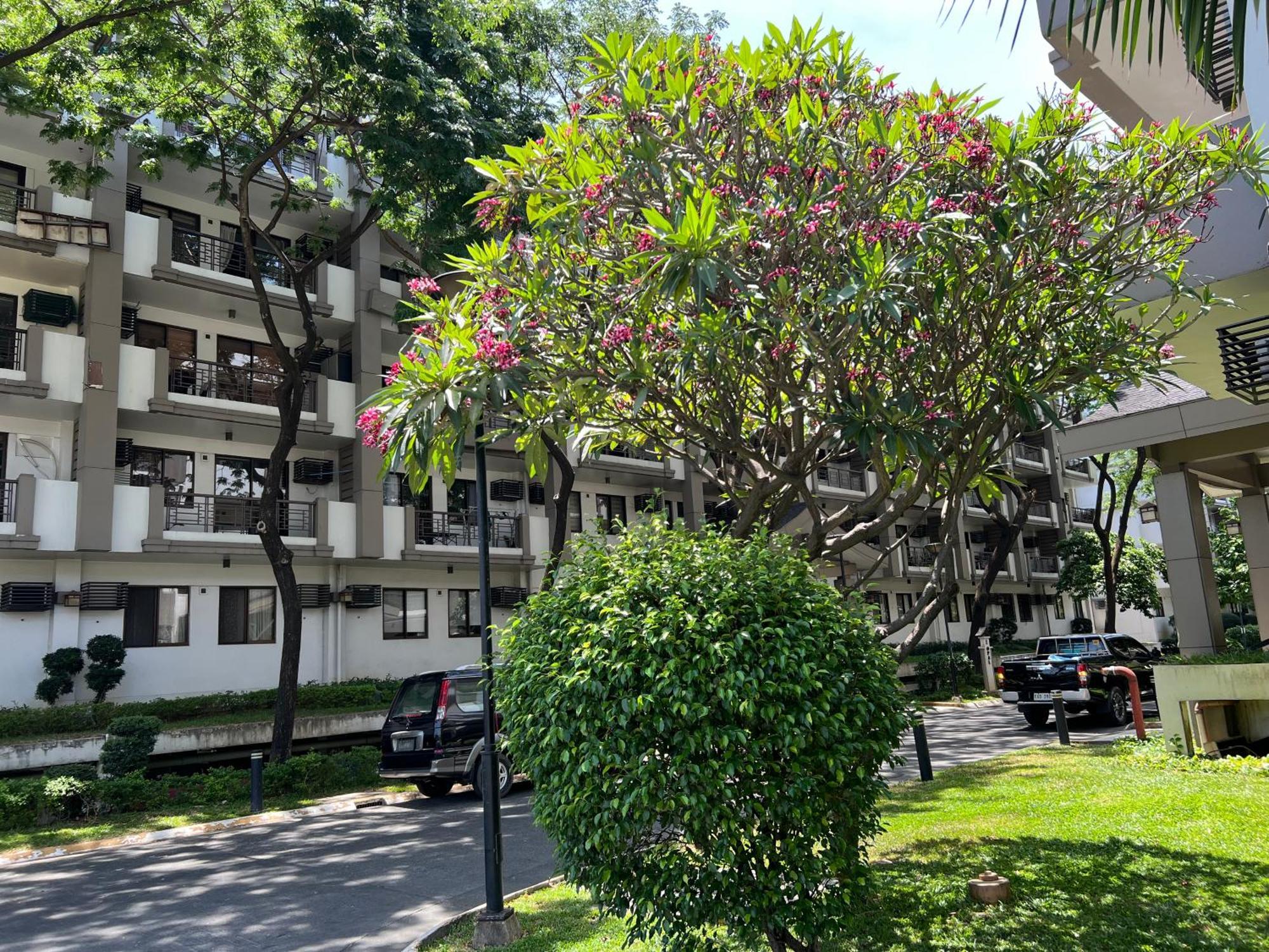 Stunning 2Br Apt, 65 Sq M Netflix At Rosewood Pointe Residences Near Bgc Μανίλα Εξωτερικό φωτογραφία